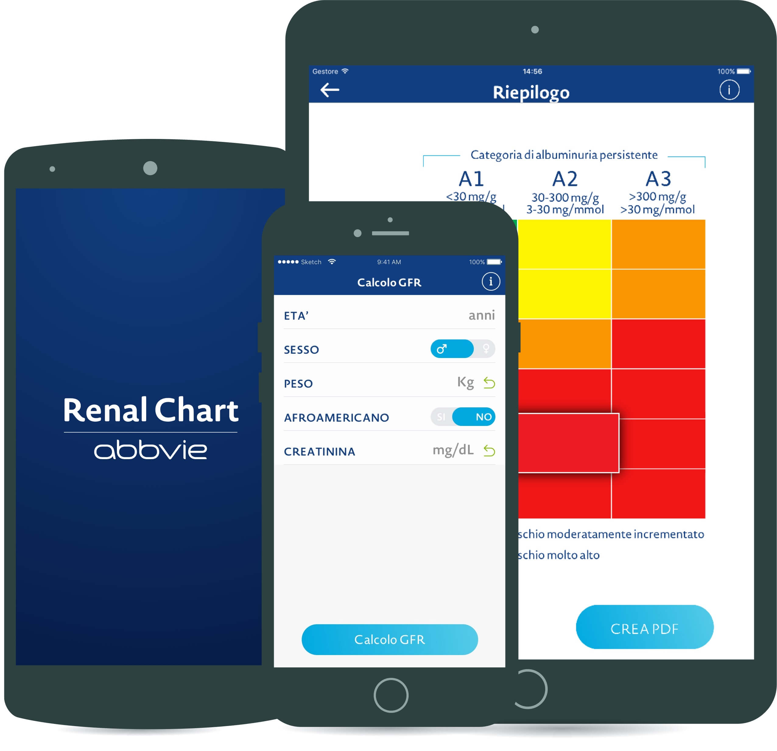 renal_chart 2