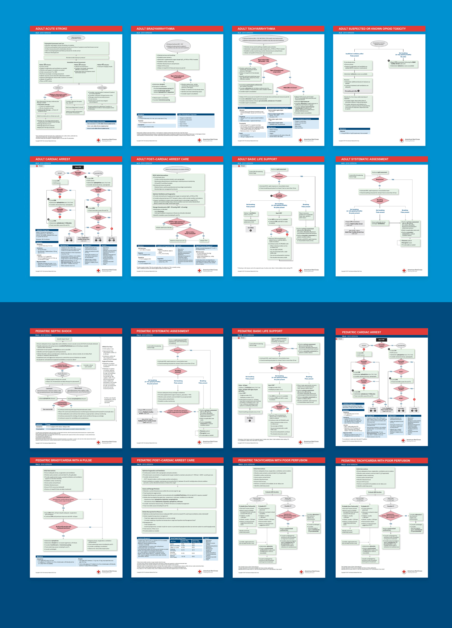 American Redcross guidelines iconography